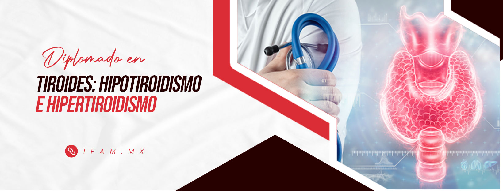 TIROIDES HIPOTIROIDISMO E HIPERTIROIDISMO C2-2026